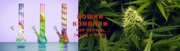 тгк Богородск