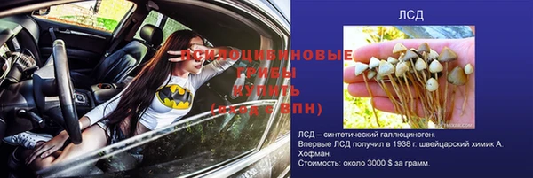 тгк Богородск