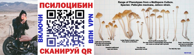 Псилоцибиновые грибы ЛСД  Купить  Надым 